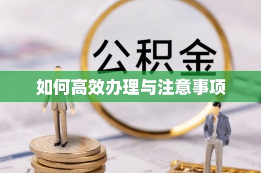 八步如何高效办理与注意事项