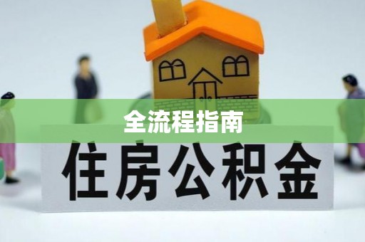 八步全流程指南