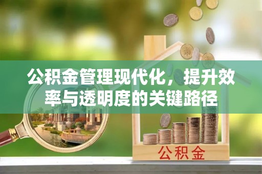 八步公积金管理现代化，提升效率与透明度的关键路径